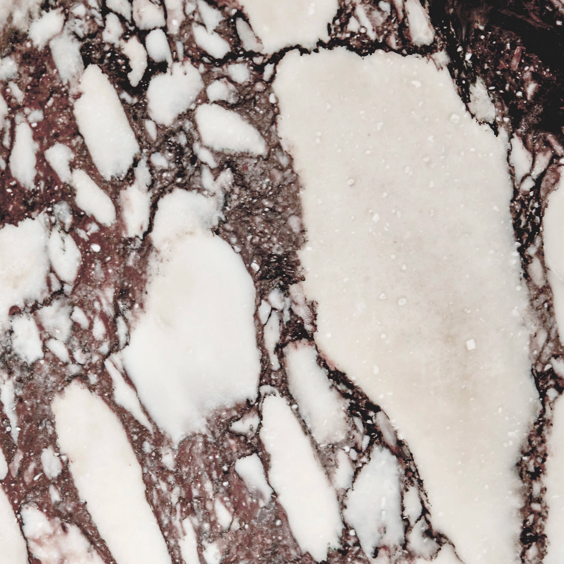 A close-up detail of Arabescato Viola marble.