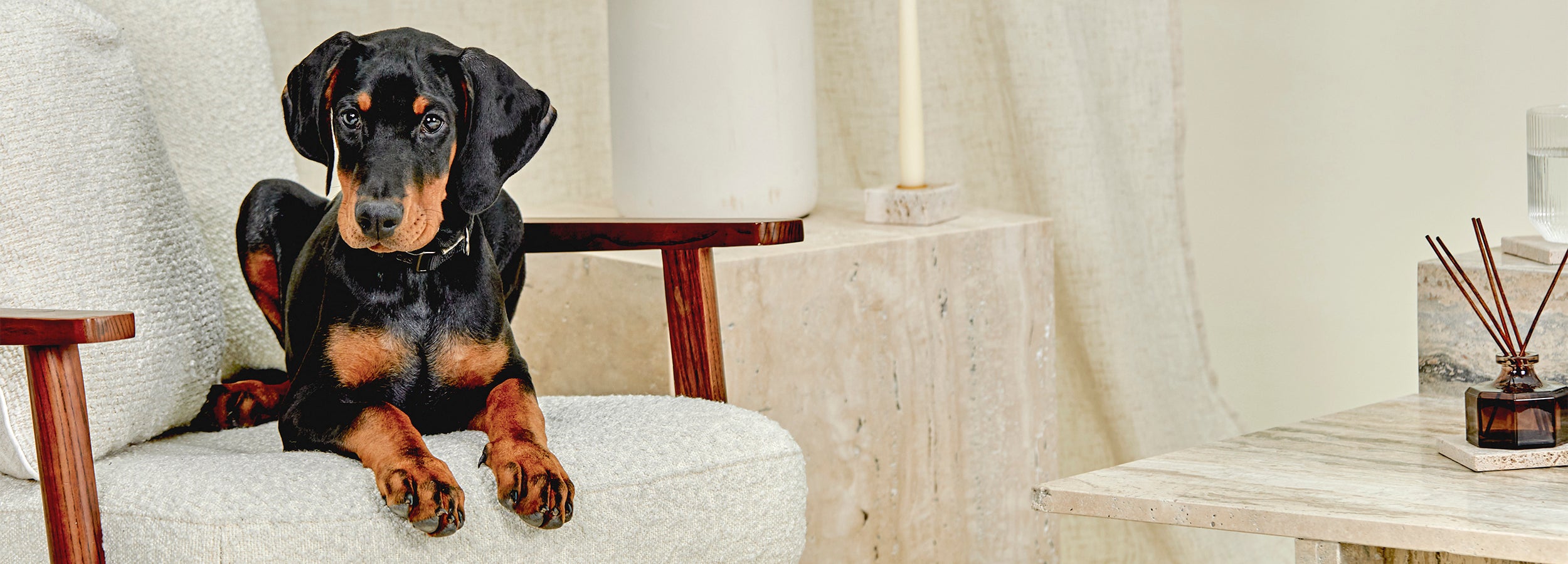 Penelope the Doberman sitting on a chair by the Travertine side tales and accessories.